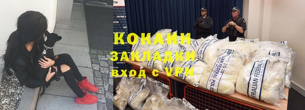 молекула духа Алзамай