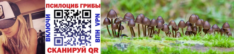 Галлюциногенные грибы MAGIC MUSHROOMS  Ликино-Дулёво 